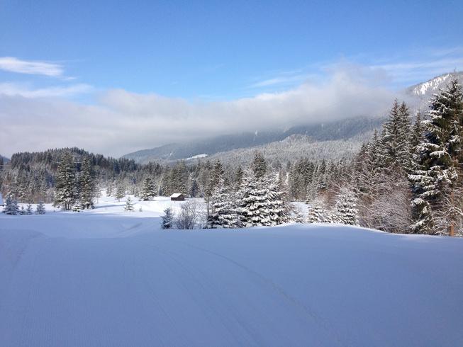 FNN-VAE for noisy time series forecasting