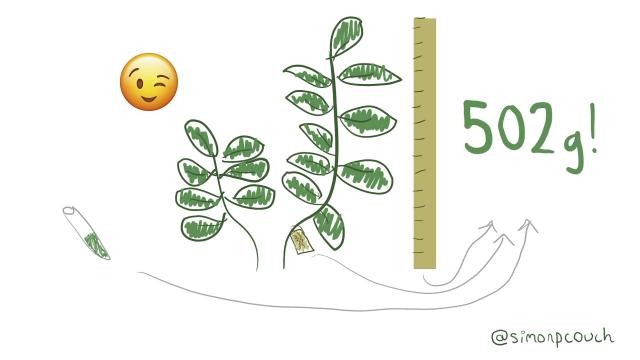 Simon Couch | tidymodels/stacks: A Grammar for Stacked Ensemble Modeling | RStudio
