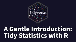 Tom Mock | A Gentle Introduction to Tidy Statistics in R | RStudio (2019)