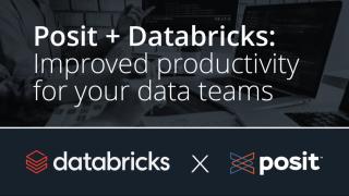 Databricks x Posit | Improved Productivity for your Data Teams